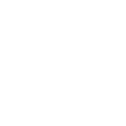 MetaCortex